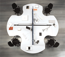 Q Workgroup Arbejdsgruppe Flower