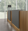 Bild 5 Z2 Reception 405-485 cm